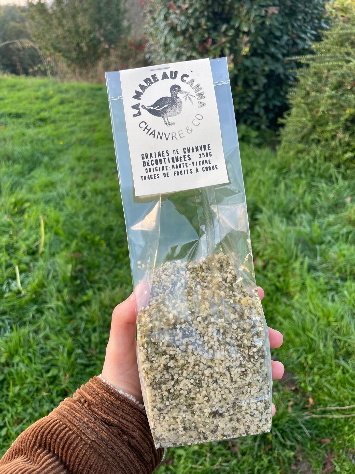 Graines de Chanvre Décortiquées