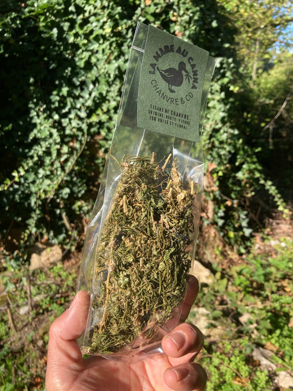 Tisane de Chanvre, 30 gr